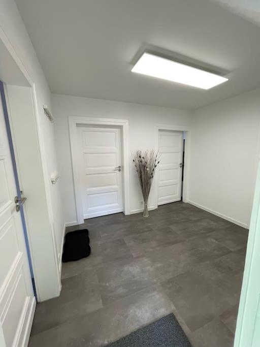 Komfortable Ferienwohnung In Halle-Kroellwitz Галль Экстерьер фото
